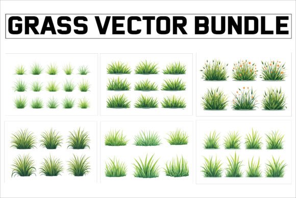 Download Grass Vector Bundle for Designers - Premium Resources