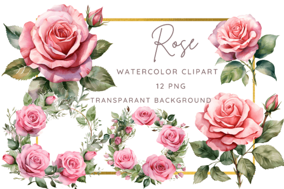 Download Elegant Rose Watercolor Graphic Designs - Graphic designs Collection